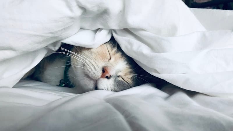 The Skill of Boredom: Why I Schedule Empty Time on My Calendar